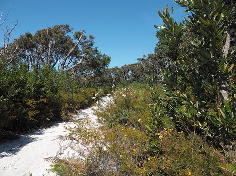 Big Rocky! Full Day Guided Walk - eAccommodation 8