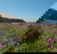 Big Rocky Full Day Guided Walk - eAccommodation