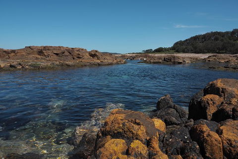 Big Rocky! Full Day Guided Walk - eAccommodation 2