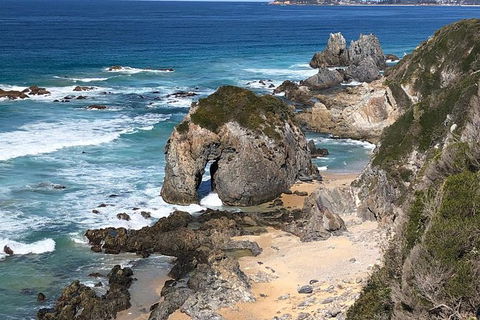 Narooma And Tilba Valley Private Tour - eAccommodation 8