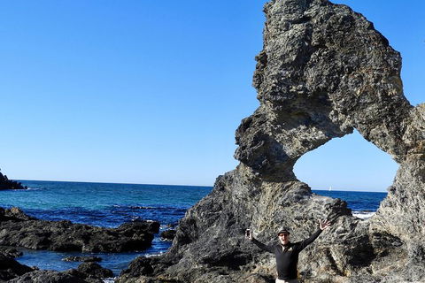 Narooma And Tilba Valley Private Tour - eAccommodation 4