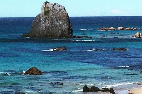 Narooma And Tilba Valley Private Tour - eAccommodation 9