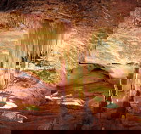 Jenolan Caves Ribbon Cave Tour - eAccommodation