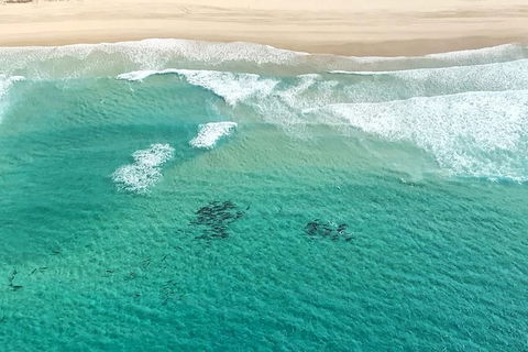 Coastal Helicopter Shared Flight - 20 Minutes - eAccommodation 5