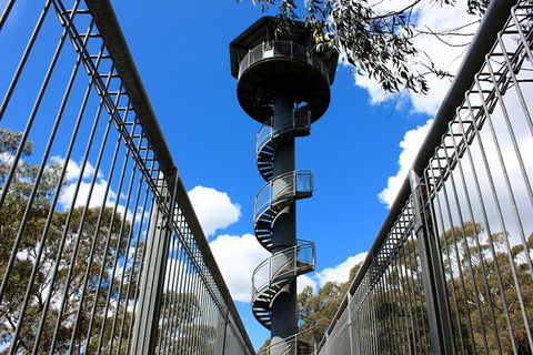 Illawarra Fly Treetop Adventures Admission Including Zipline Tour - eAccommodation 3