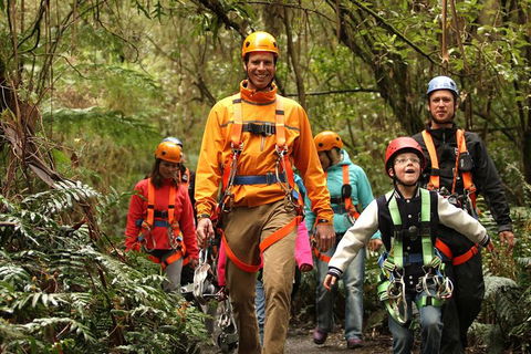 Illawarra Fly Treetop Adventures Admission Including Zipline Tour - eAccommodation 1