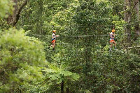 Illawarra Fly Treetop Adventures Admission Including Zipline Tour - eAccommodation 0
