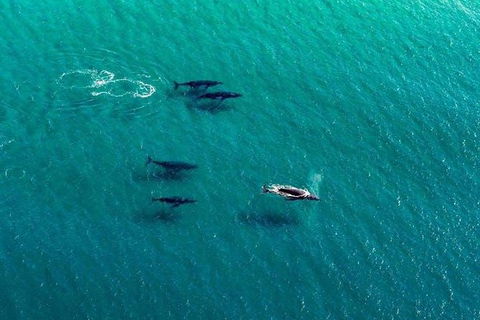 25-30 Minute Newcastle & Macquarie Helicopter Shared Flight - eAccommodation 2