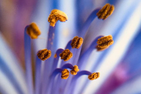 Photo Tour With An IPhone - eAccommodation 5