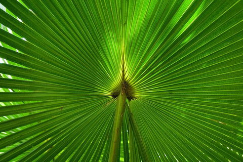 Photo Tour With An IPhone - eAccommodation 0