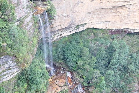 All-Inclusive Blue Mountains Tour In A Luxury Mercedes Sprinter - eAccommodation 9