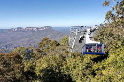 All-Inclusive Blue Mountains Tour In A Luxury Mercedes Sprinter - eAccommodation 11