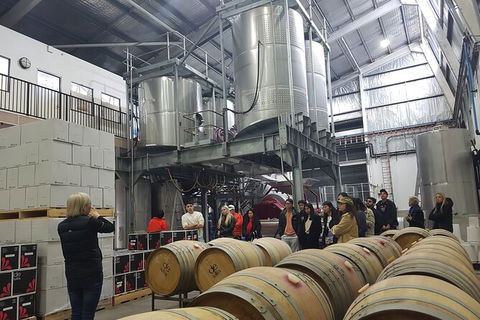 Hunter Valley Small Group Wine, Gin, Cheese & Chocolate Tour - eAccommodation 6