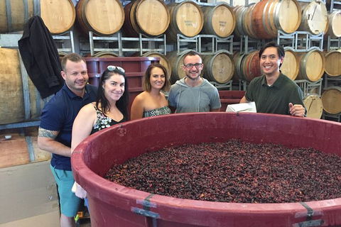 Hunter Valley Small Group Wine, Gin, Cheese & Chocolate Tour - eAccommodation 0