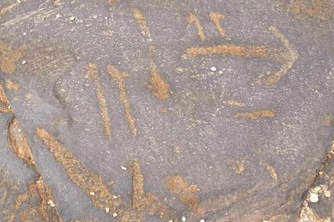 Aboriginal Rock Art - eAccommodation 4