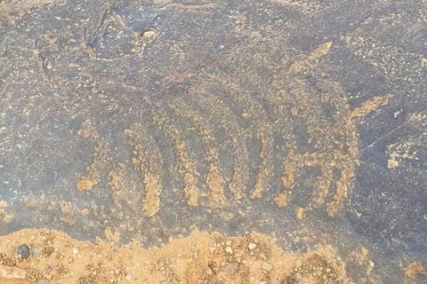 Aboriginal Rock Art - eAccommodation 0