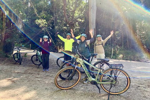 Guided E Bike Tour - Unicorn Falls & National Park - eAccommodation 3