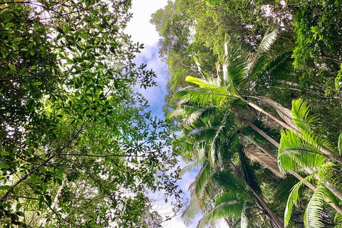 Guided E Bike Tour - Unicorn Falls & National Park - eAccommodation 5