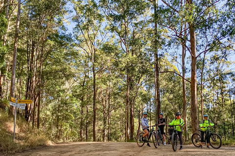 Guided E Bike Tour - Unicorn Falls & National Park - eAccommodation 10