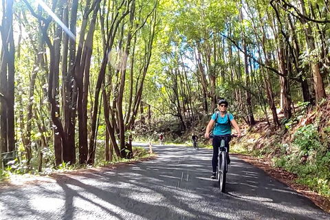 Guided E Bike Tour - Unicorn Falls & National Park - eAccommodation 16