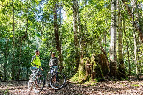 Guided E Bike Tour - Unicorn Falls & National Park - eAccommodation 14