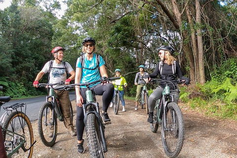 Guided E Bike Tour - Unicorn Falls & National Park - eAccommodation 11