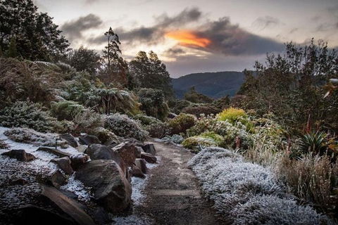 Blue Mountains Botanic Garden And Bilpin Tour From Katoomba With Cider Tasting - eAccommodation 2