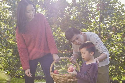 Blue Mountains Botanic Garden And Bilpin Tour From Katoomba With Cider Tasting - eAccommodation 1