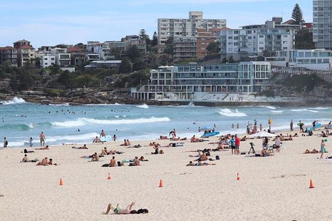 Private Sydney City & Bondi Beach Half Day Tour - eAccommodation 3