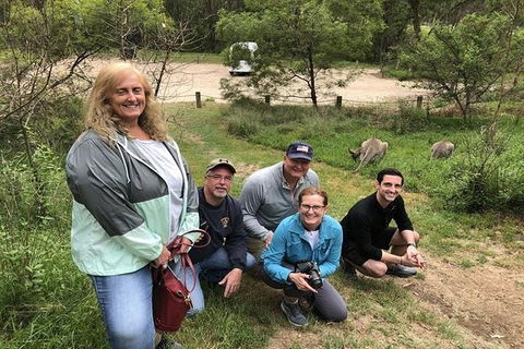Full-Day Guided Tour Of Blue Mountains With Pick Up - eAccommodation 2