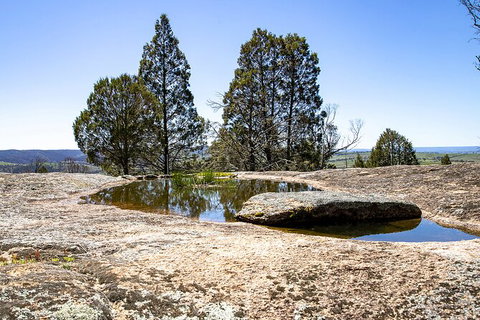 Bathurst Wine Trail Full-Day Private Tour With Tastings - eAccommodation 5