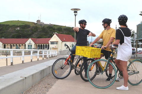 Newcastle Half-Day Bike Tour With Lunch - eAccommodation 3