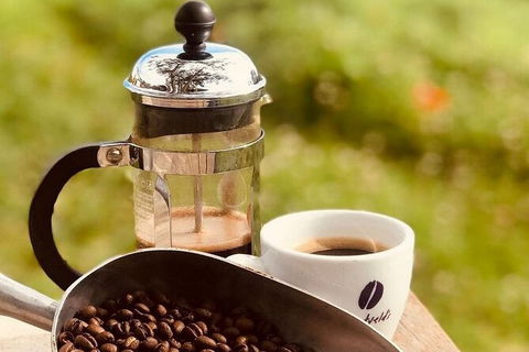 Coffee Farm Tour And Workshop, Byron Bay Hinterland - eAccommodation 0