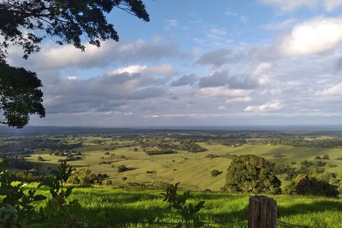 Coffee Farm Tour And Workshop, Byron Bay Hinterland - eAccommodation 4