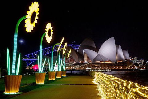 Private Vivid Sydney Harbour Cruise For Up To 20 Guests - eAccommodation 6