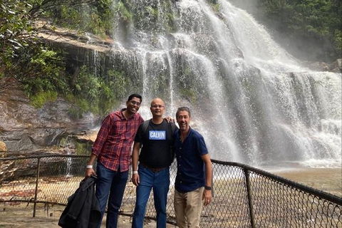 Blue Mountains Highlights & Wildlife Park - eAccommodation 4