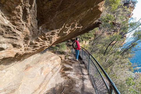 Blue Mountains Highlights & Wildlife Park - eAccommodation 0