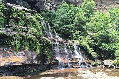 Blue Mountains Highlights & Wildlife Park - eAccommodation 8