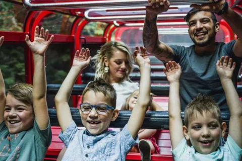 Blue Mountains Highlights, Wildlife Park And Scenic World Full Day Private Tour - eAccommodation 5