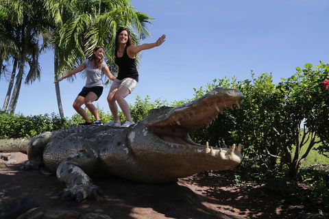 Jumping Crocs & Nature Adventure Cruise From Darwin - eAccommodation 5