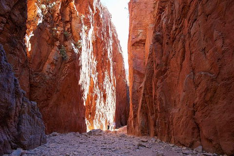 Best Of Alice Springs Full Day Tour - eAccommodation 6