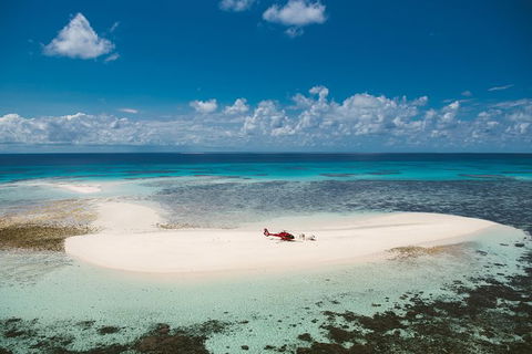 Private Helicopter Tour: Reef Island Snorkeling And Gourmet Picnic Lunch - eAccommodation 3