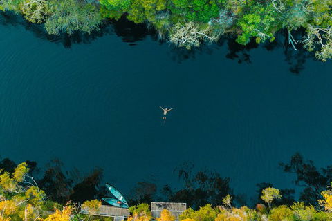 Everglades Eco Safari To Australia\'s Everglades - eAccommodation 2