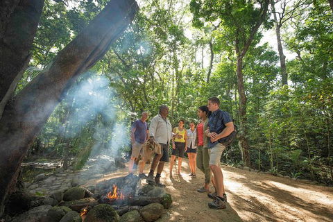 Aboriginal Cultural Daintree Rainforest Tour From Cairns Or Port Douglas - eAccommodation 3