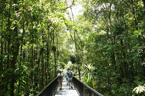 Aboriginal Cultural Daintree Rainforest Tour From Cairns Or Port Douglas - eAccommodation 4