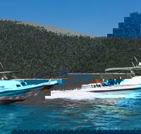 Private Standard Charter Experience in Whitsundays - eAccommodation
