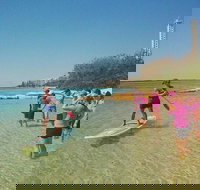 Golden Beach 1-Hour Stand-Up Paddleboard Hire on the Sunshine Coast