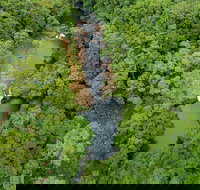 Full-Day Guided Hinterland Adventure Tour in Queensland