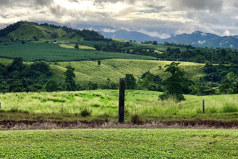 Tableland Tasting Tour - eAccommodation 0