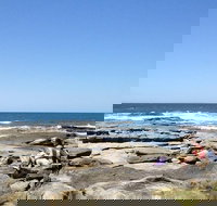 Sunshine Coast Rocky Shore Educational Eco Tour